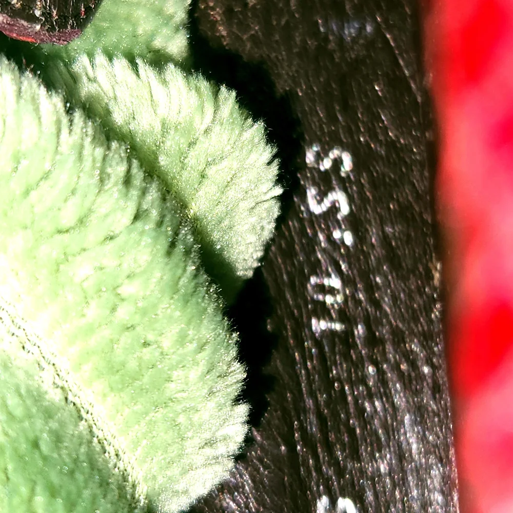 Stuart Weitzman Red Snakeskin Women's Slip-On Loafers w/Glossy Finish Sz. 10.5 - Picture 9 of 16